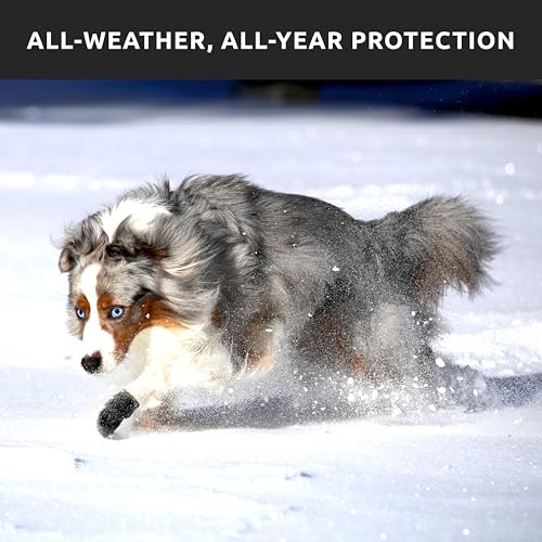 PawZ Rubber Dog Boots for Large Paws - All-Weather Waterproof Dog Shoes, Anti-Slip Traction for Rain, Snow, Mud & Hot Pavement - Pull-On Dog Booties, Black - X-Large (4" +) - Pack of 24 - size: XL