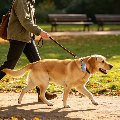 Dog Poop Bag Holder for Leash, Zippered Canvas Poop Bag Dispenser Pouch with Velcro Straps & Metal Carabiner Clip, Holds Keys & Treats for Daily Dog Walking - color: Light Green