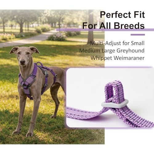 ThinkPet Flexfit 3-Strap Escape Proof Dog Harness, No Pull Front Clip 2-in-1 Vest with Control Handle, 360° Reflective Breathable Adjustable Harness for Greyhound Whippet Vizsla, Medium, Purple - color: Purple, size: Medium