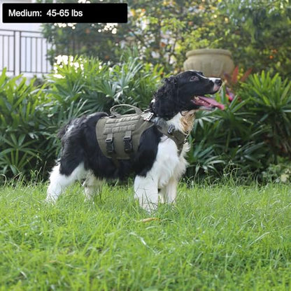 ICEFANG GN3 Tactical Dog Harness with 6X Buckle,Dog Molle Vest with Handle,3/4 Body Coverage,Hook and Loop Panel for ID Patch,No Pulling Front Clip (M (25"-31" Girth), Ranger Green) - color: Ranger Green, size: Medium (Pack of 1)