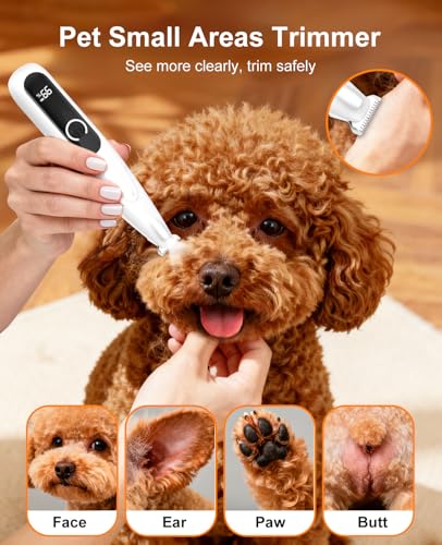 IREDOON 2026 New Pet Precision Trimmer, 35dB Low-Noise Dog Paw Trimmer with LED Light, Safe Curved Ceramic Blade Electric Pet Paw Grooming Kit for Dogs & Cats Paw, Ear, Face, Butt, Eyebrows