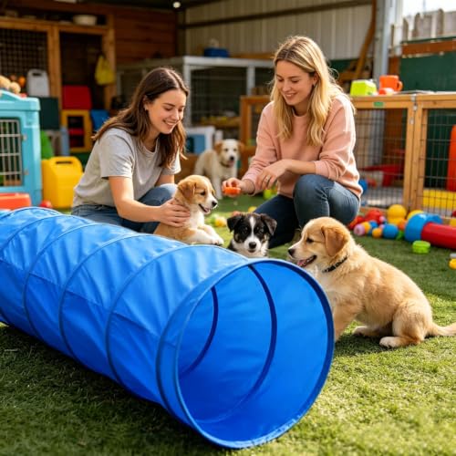 Dog Park Equipment - Training Tunnel Activity Set, Interactive Obstacle Course Accessories, Pet Exercise Challenge Kit | Backyard Lawn Yard Shore for Competition Recreation Practice - color: A