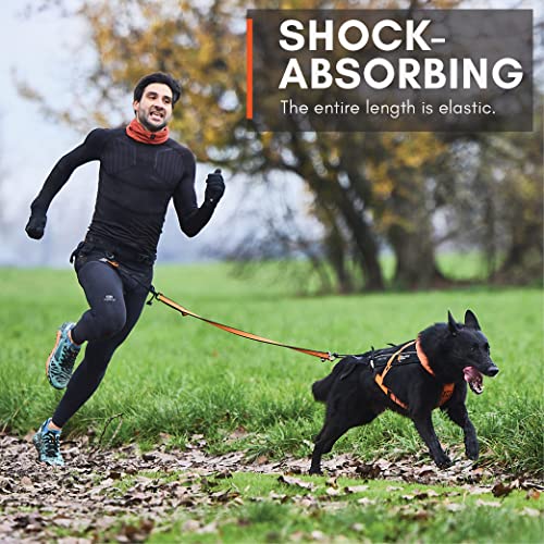 Non-stop Dogwear Bungee Dog Leash with Shock Absorption (2.0 m) - Elastic Dog Leash for Sports Running, Biking & Hiking - Hands Free Leash with Twistlock Safety Carabiner for Adventures, Black/Orange - size: 2.0 m / 23 mm