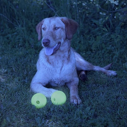 Chew King by Mammoth Set of 2 Glowing Fetch Ball, Durable Bouncy Interactive Toy for Pets & Dogs, Lightweight, 3 Inch, Fits Ball Launcher - color: 2-Pack (3" Balls)