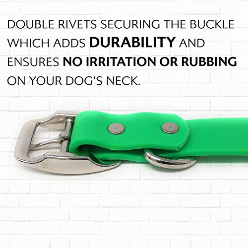 Regal Dog Products Small Light Green Dog Collar with Heavy Duty Double Buckle & D Ring Vinyl Coated, Custom Fit, Adjustable Biothane Dog Collar | Chew Resistant Waterproof Center-Ring Collar for Dogs - color: Green, size: Small