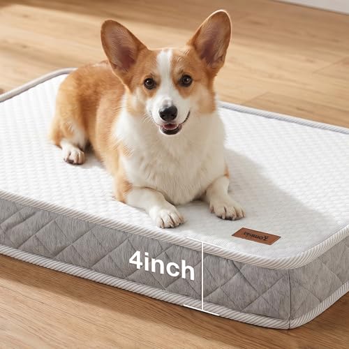 ZOMISIA Breathable Orthopedic Dog Bed for Medium Dog, Reversible Warm & Cooling Dog Bed Mattress for All Season, 4" Thick Honeycomb Supportive Pet Bed with Detachable Non-Slip Bottom, Waterproof Cover - size: Medium