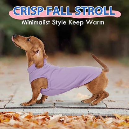 Dog Fleece Vest - Purple, S - Warm and Stretchable Sweatshirt | Sleeveless Lightweight Sweater, Pullover Design for Small Dogs, Chihuahua Clothes, Papillon, Pomeranian - color: Purple, size: Small