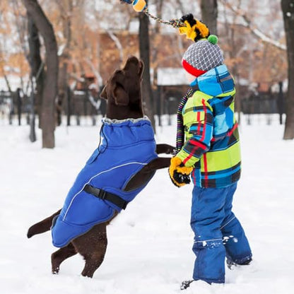DENTRUN Warm Dog Winter Coat, Easy On Reflective Turtleneck Fleece Jacket | Adjustable buckle, easy on off, windproof & water-repellent, thick fleece snowsuit, outfit fits small to large breeds - color: Blue, size: Medium