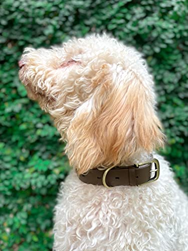 Tuff Pupper Classic Heavy Duty Dog Collar | 10x Stronger Than Leather | 100% Waterproof & Odor Proof Dog Collar | Tough Rust-Proof All Metal Hardware - color: Dark Brown