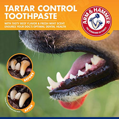 Arm & Hammer for Pets Tartar Control Dog Dental Kit, Enzymatic Toothpaste with Toothbrush and Fingerbrush, Baking Soda Formula Reduces Plaque and Tartar, Safe for Puppies, Beef Flavor, 3 Pc - 48 Pack - size: 2.5 Ounce (Pack of 48)