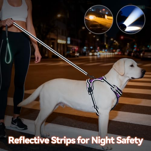 PHOEPET No Pull Dog Harnesses for Small Puppies Reflective Adjustable Front Clip Vest with 2 Metal Leash Attachment Hooks Soft Handle(S, Purple) - color: Purple, size: Small