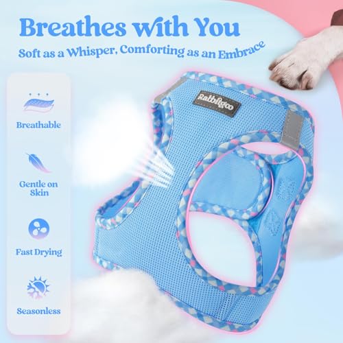 rabbitgoo Dog Harness Small Sized and Leash Set, Step in Soft Light Puppy Vest, Breathable Mesh Pet Harness, Reflective for Safe Easy Walking, Blue & Plaid Trim XXS - color: Blue & Plaid Trim, size: Xxs (chest: 12.4 - 14.2")