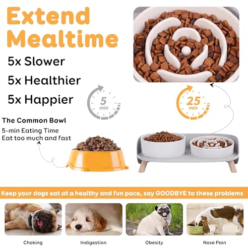 Elevated Slow Feeder Dog Bowls - Ceramic Food and Water Bowl Set with Stand - Raised Pet Dishes for Small and Medium Sized Dogs - color: White