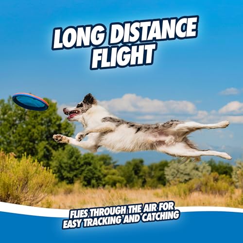 Chuckit! Max Glow Paraflight Flying Disc Dog Toy - Water Floating Flyer - Durable Nylon Construction with Soft Rubber Edges - For Medium and Large Dogs - Size Large - 9.75" L x 9.75" W - Pack of 1 - color: Green/Max Glow, size: Large