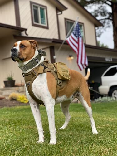 Tactical Dog Collar with Handle - Military Adjustable Dog Training Collar Soft Nylon and Heavy Duty Metal Buckle for Medium Large Dogs - with Patch (Green with Patch, X-Large) - color: Green with Patch, size: X-Large