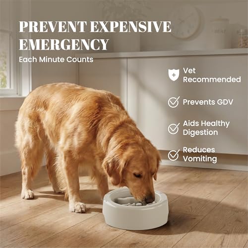 AVERYDAY 3 Pack Slow Feeder Dog Bowl Set, Two Weighted Maze Insert Bowls, Anti-Slip Changeable Puzzle Feeding Bowl for Wet Dry & Raw Dog Food, Slow Eating Deep Pet Food Dish for Medium & Large Breeds - color: Cosmic Graphite