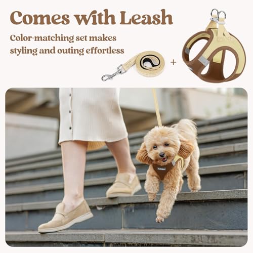 rabbitgoo Dog Harness Small Sized and Leash Set, Step in Soft Light Puppy Vest, Breathable Mesh Pet Harness, Reflective for Safe Easy Walking, Brown & Beige XXS - color: Brown & Beige, size: Xxs (chest: 12.4 - 14.2")