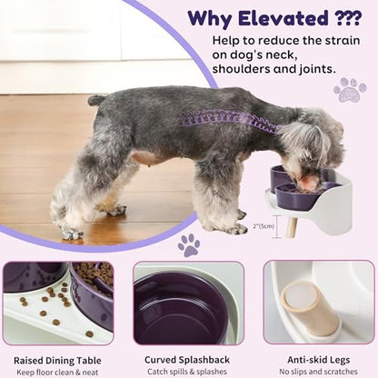 Elevated Slow Feeder Dog Bowls - Ceramic Food and Water Bowl Set with Stand - Raised Pet Dishes for Small and Medium Sized Dogs - color: Purple