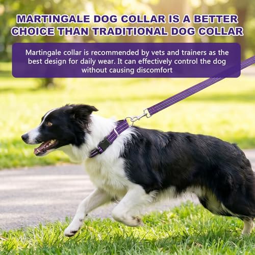 Hikiko Martingale Collar for Dogs Reflective Nylon Dog Collar with Quick Release Buckle Adjustable Training No Slip Dog Collar (X-Large, Purple) - color: Purple, size: X-Large