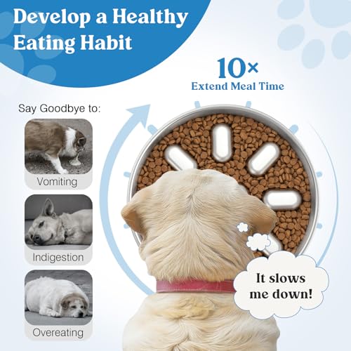 Slow Feeder Dog Bowls, 304 Stainless Steel Slow Feed Pet Bowl with Non-Slip Base for Medium Breed Dogs to Stop Bloat Prevent Choking, Dishwasher Safe, Silver - color: Silver, size: 3 Cups