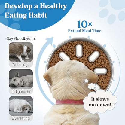 Slow Feeder Dog Bowls, 304 Stainless Steel Slow Feed Pet Bowl with Non-Slip Base for Medium Breed Dogs to Stop Bloat Prevent Choking, Dishwasher Safe, Silver - color: Silver, size: 3 Cups