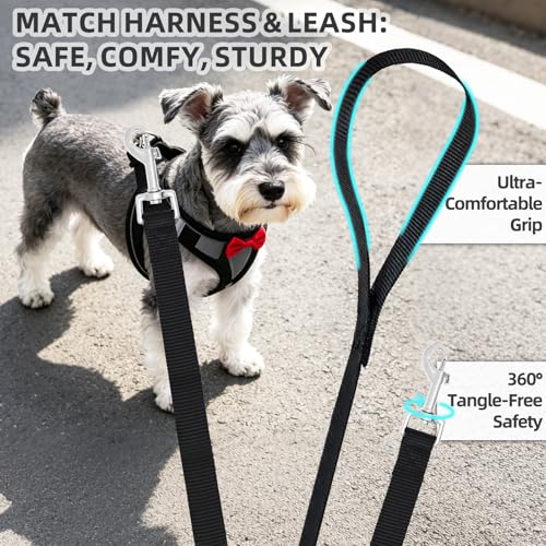 PUPTECK Dog Harness and Leash Set for Small Medium Dogs No Pull Step-in Soft Mesh Puppy Cat Vest Harnesses Reflective at Night, Black Bow Tie - color: #3 Black(Bow Tie), size: M(CHEST 16"-18", 11-18 lbs)