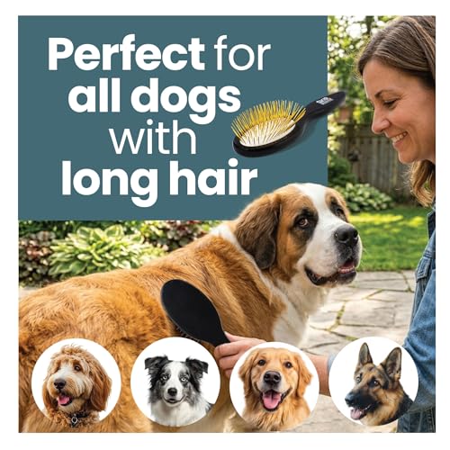 Pin Brush for Dogs, Gentle Dog Brush for Long Haired Dogs – Routine Essential for Goldendoodles, Poodles & Doodles, No-Scratch Rounded Pins for Sensitive Skin, Flexible Cushion Base – Skip the Groomer