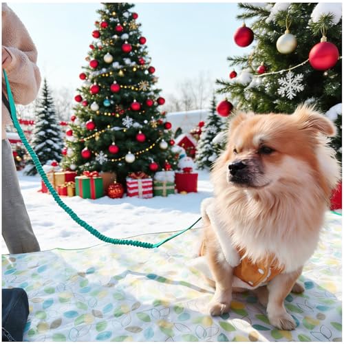 WYuZe 4FT Bungee Dog Leash Shock Absorption Handle for Strong Small Dogs | Stretch to 5.5ft, Soft Padded Handle, Reflective 3/4" Width Nylon Leash for Anti-Pull Training Walking Hiking, Teal - color: Teal