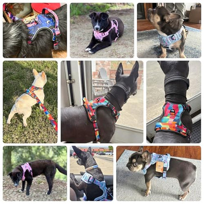 BEAUTYZOO No Pull Dog Harness Small, Adjustable Dog Harness and Leash Set -Easy Wearing with 3 Buckles/Control Handle,No Choke Soft Padded Reflective Pet Vest for Training Walking Hiking,Blue S - color: Blue Flower, size: S: chest 14"-24"