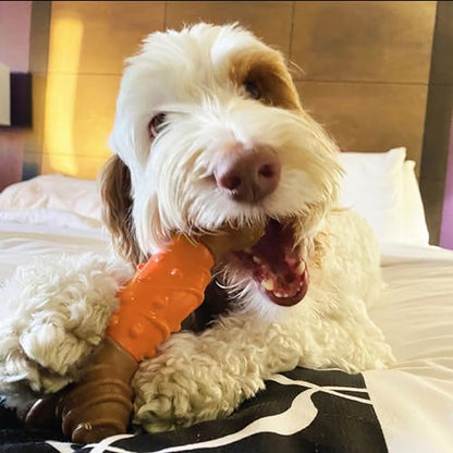 SPOT Bam-Bones Dental Bone - Made with Bamboo Fiber and a Massaging Rubber Center, Durable Oral Care Dog Chew for Light Chewers & Teething Puppies Under 25lbs, 6in Allergen Free Peanut Butter Flavor - size: Medium