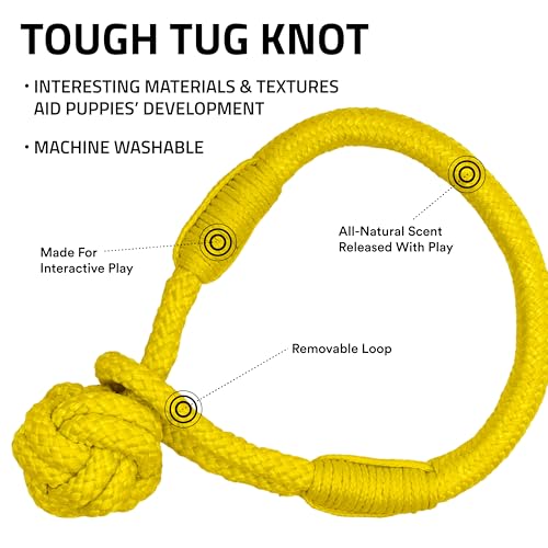 Playology Dog Toys | Tough Tug Knot for Puppies and Young Dogs | Chicken Scented Medium Chew Toy Tug Rope | Tug of War Puppy Essentials - size: Medium, style: Chicken