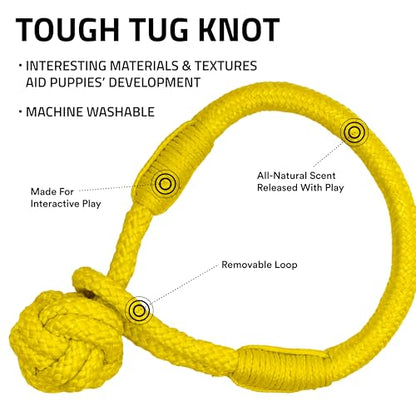 Playology Dog Toys | Tough Tug Knot for Puppies and Young Dogs | Chicken Scented Medium Chew Toy Tug Rope | Tug of War Puppy Essentials - size: Medium, style: Chicken