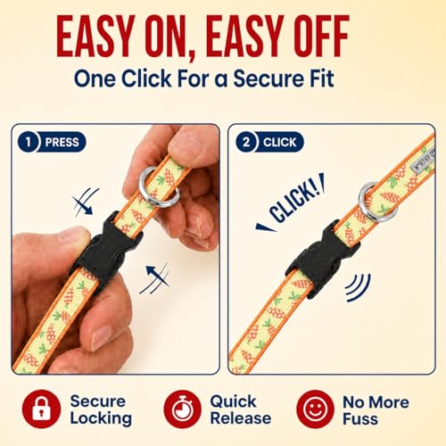 THE WORTHY DOG Spring Holiday Crazy Carrots Dog Collar – Durable Nylon, Woven Ribbon, Quick-Release Buckle, Nickel D-Ring – Green, X-Small - color: Crazy Carrots - Green, size: X Small