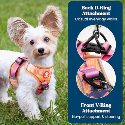 Step in Extra Small Dog Harness and Puppy Harness – No Pull No Choke Mesh Vest with Front & Back Clips for XS Small Breed Dogs (Sierra Mountains, XS) - color: Sierra Mountains, size: XS