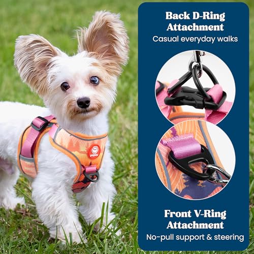 Step in XXS Dog Harness and Puppy Harness – No Pull No Choke Reflective Mesh Vest with Front & Back Clips for Tiny Small Breed Dogs (Sierra Mountains, XXS) - color: Sierra Mountains, size: XXS
