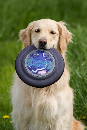 Doggles Flying Disk, Squirrel Green