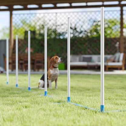 PawHut Adjustable Dog Agility Training Obstacle Course Set with Weaves Poles Storage Bag for Pet Dogs Outdoor Games Exercise