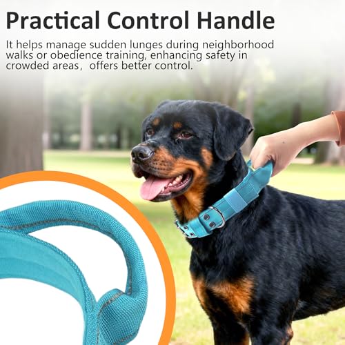 Tactical Dog Collar with Control Handle, Military Adjustable Pet Collar Reflective Heavy Metal Buckle Dog Collar, Soft Nylon Training Collar for Medium Large Dogs (Blue, Medium) - color: Blue, size: Medium