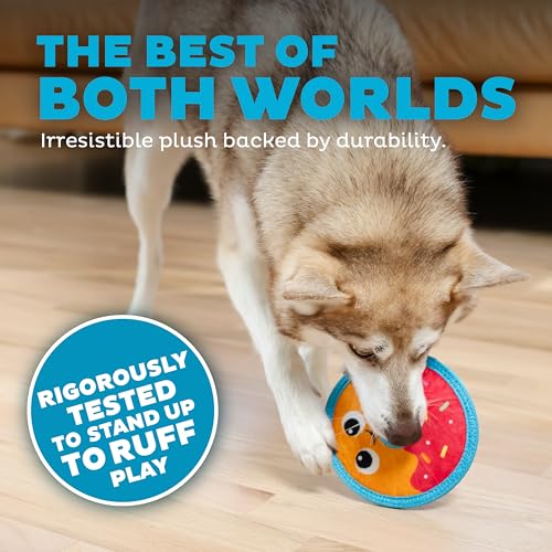 Outward Hound Tough Skinz Durable Squeaky Dog Toy with Two Tough Layers, Donut, Multicolor, Small - color: Donut, size: Small