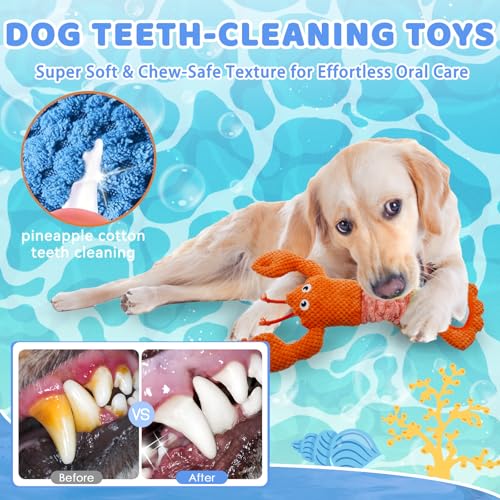 YZHDUXIU Tug of War Dog Toy, Squeaky Dog Toys Interactive Lobster Puppy Toys with Crinkle Paper to Keep Them Busy - color: Orange Lobster