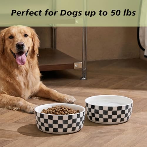 6.4 inch Ceramic Hand Painted Basic Dog Bowl Set of 2 with Anti-Skid Rubber Base, Food and Water Bowls for Small Pets,Black - color: Black