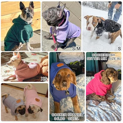 BEAUTYZOO Medium Dog Hoodie Sweater with Pockets, Dog Clothes for Small Medium Dogs Boy Girl, Waffle-Like Laminated Cotton Pet Coats with Hat and Leash Hole, Rose Pink XL - color: Rose Pink, size: XL (Back: 24",Chest: 34", Neck: 21")