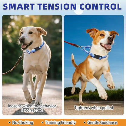 KOOLTAIL Martingale Collar for Dogs for Small Medium Large Dogs, Soft Padded Nylon No Pull Dog Collar with Buckle, Adjustable No Slip Heavy Duty Durable Puppy Training Collar for Boys Girls, Blue M