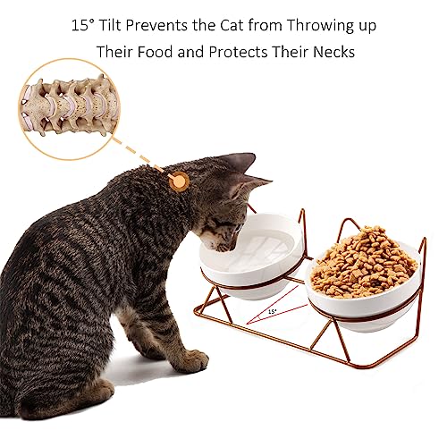 Trosetry Cat Bowls, Double Ceramic Pet Bowls with 15°Tilted Raised Stand for Food and Water, Anti Vomiting Cat Dish Feeder, Perfect for Puppy Cats and Small Dogs(Double Bowls1)