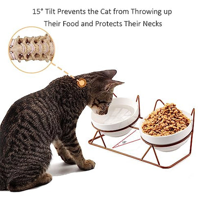 Trosetry Cat Bowls, Double Ceramic Pet Bowls with 15°Tilted Raised Stand for Food and Water, Anti Vomiting Cat Dish Feeder, Perfect for Puppy Cats and Small Dogs(Double Bowls1)