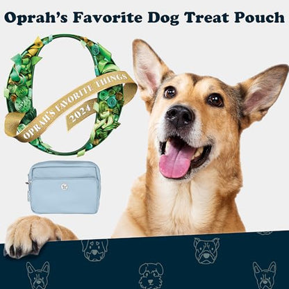 Puppington 3-in-1 Crossbody Dog Walking Bag & Treat Pouch with Matching Planet Safe Poop Bags & Built-In Dispenser - Dog Mom Gift for Puppy Training with Zippered Pockets (Ice Blue) - color: Ice Blue