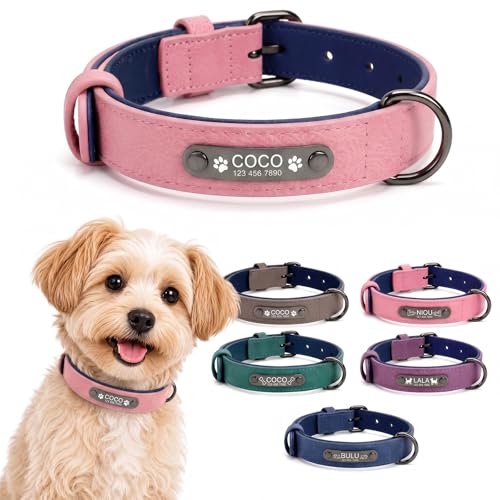 Personalized Anti-Lost Leather Dog Collar with Engraved Nameplate | Heavy duty metal buckle and clear laser marked ID. Features a smooth leather lining to protect fur during daily walks. - size: M: Adjustable Neck 10.63-13.78", Width 0.79"