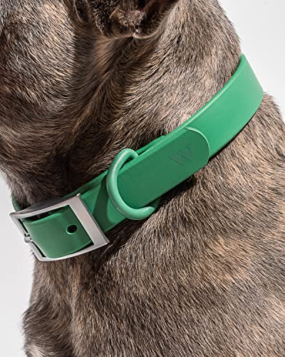 Wild One Dog Collar, Easy-Clean, All Weather Flex-Poly Strap with Metal, Durable, Dirt and Odor Resistant (Spruce, S) - color: Spruce, size: S