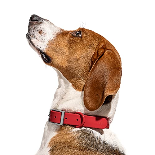 Wild One Dog Collar, Easy-Clean, All Weather Flex-Poly Strap with Metal, Durable, Dirt and Odor Resistant (Strawberry, XS) - color: Strawberry, size: XS