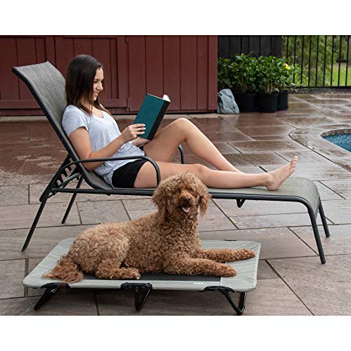 Pet Gear Lifestyle Pet Cot Elevated Bed | No Assembly Required | Premium Tear Resistant Cooling Mesh | Indoor & Outdoor | Lightweight & Portable